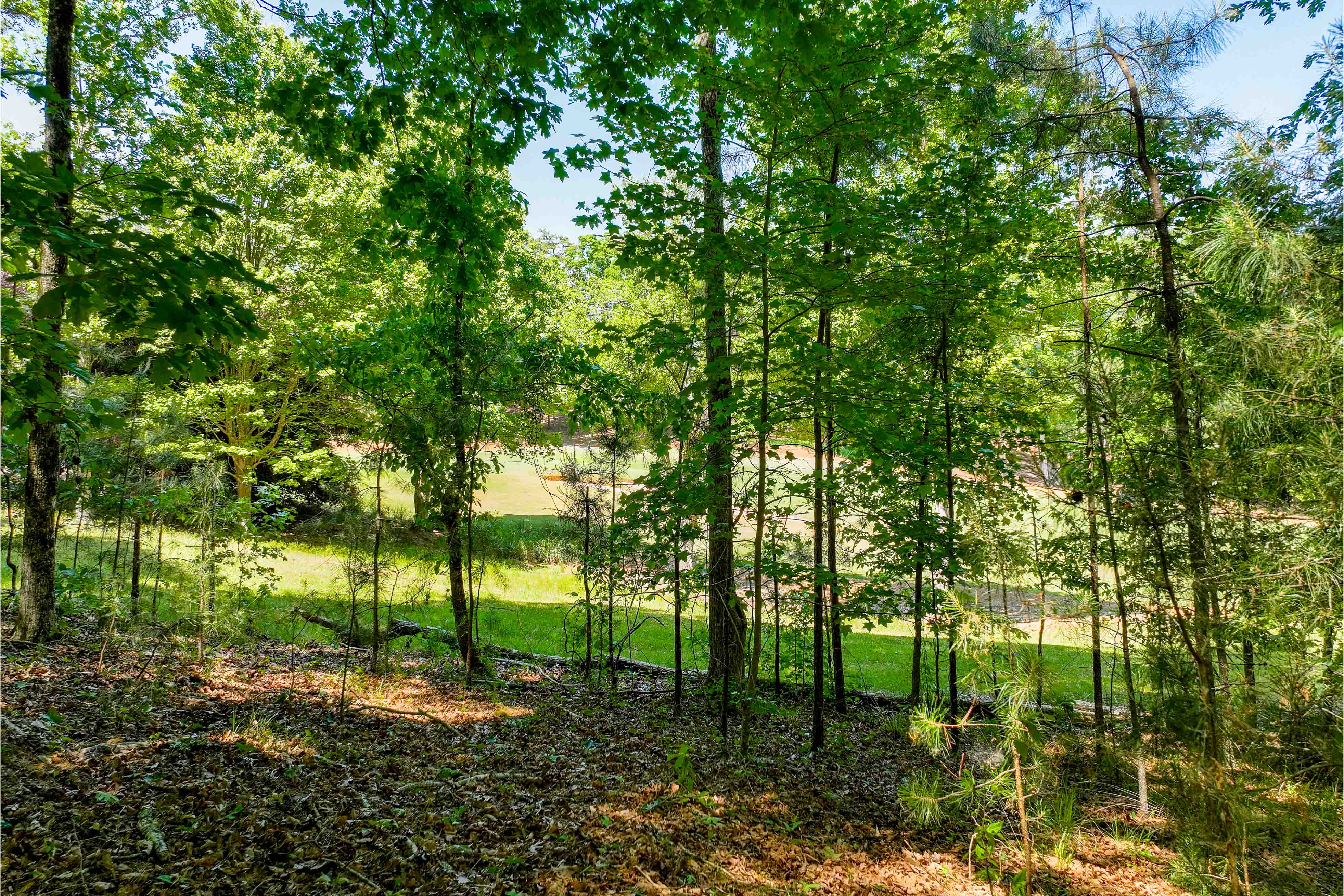 1000 Curtright Place image 7